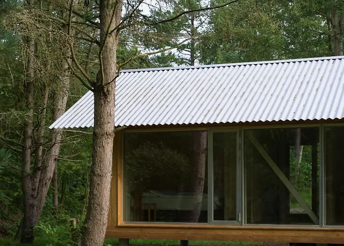 Architectural Gem In Nature By Vollerup Ferienhaus *